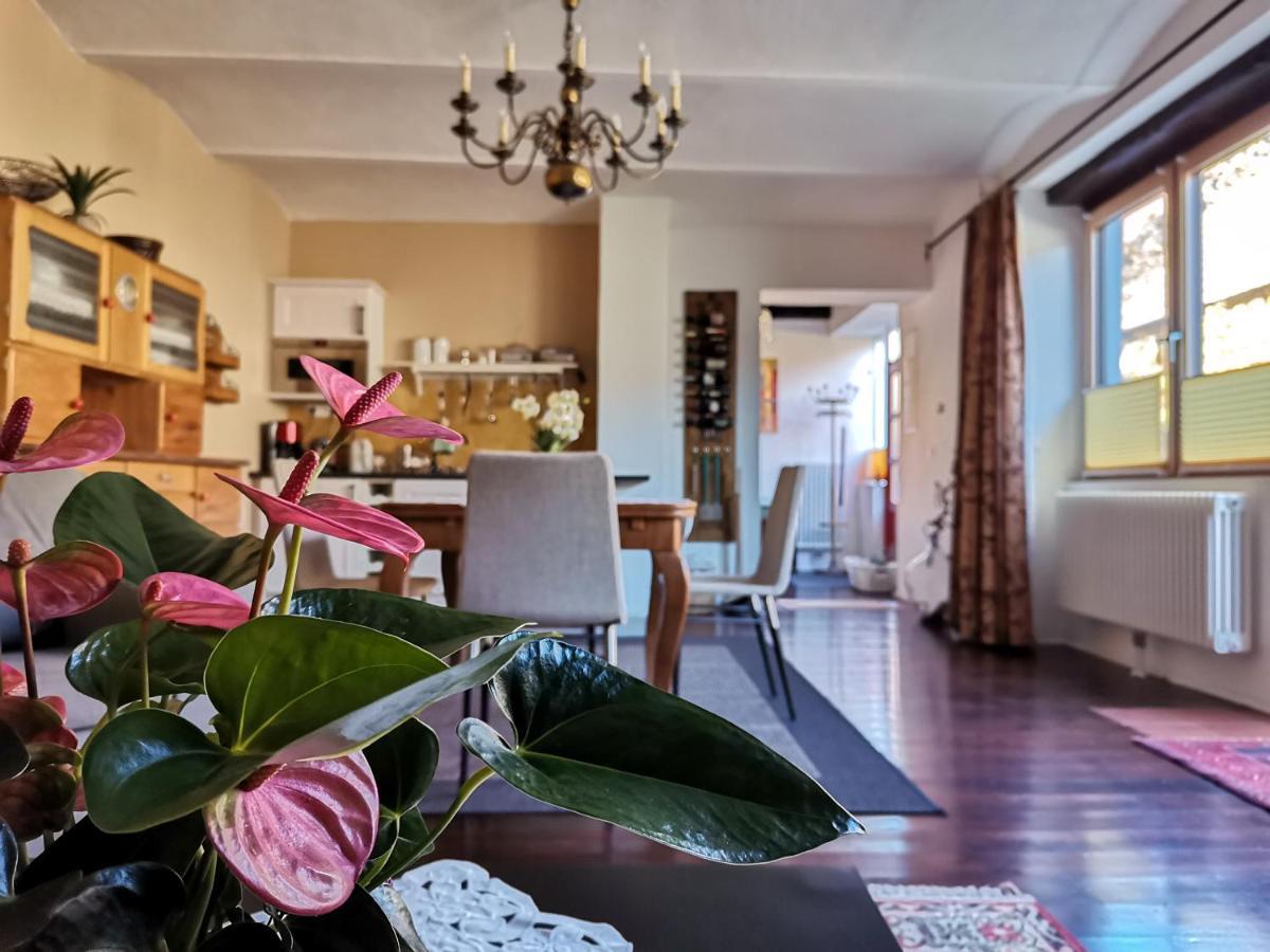 Gaestehaus Doris Purbach am Neusiedlersee Dış mekan fotoğraf