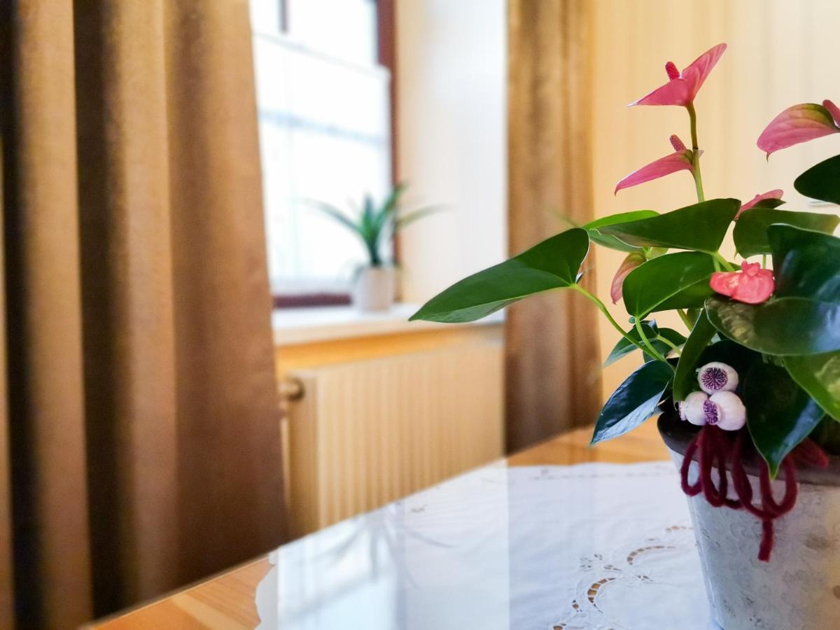 Gaestehaus Doris Purbach am Neusiedlersee Dış mekan fotoğraf